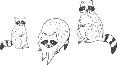raccoon_squad